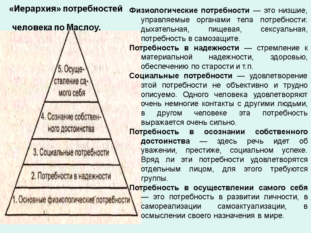 «Иерархия» потребностей человека по Маслоу. Физиологические потребности — это низшие, управляемые органами тела потребности: